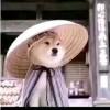 廖化