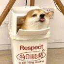 花海
