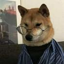 悍狗:)艺
