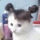 青争（想茶茶版）