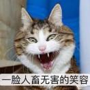 加菲