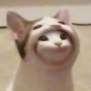 ¿