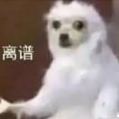 火毒