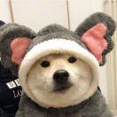 方小姿