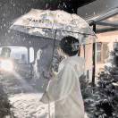 长安雪意