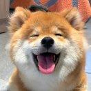 子渊