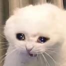 硒