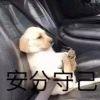 我比世界更癫