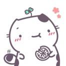 阿喵不爱猫薄荷