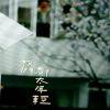 含月飞分