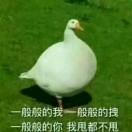 靓仔鸭