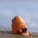 恦