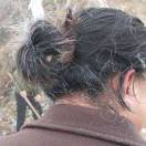 😽 无悲无喜猫儿知😺