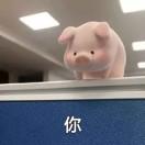 你
