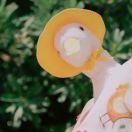 *O*R*A*N*G*E*🍊