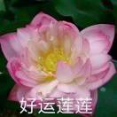 秀儿