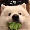 疯味mod