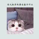 普瑞口腔~与一人同游¤