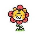超级太阳花