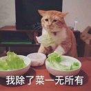 肥仔