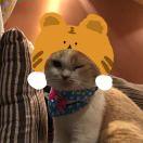 迪