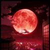 光寰月星