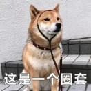 。。