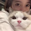 蓓蓓有只猫