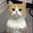 猫so?