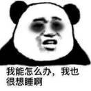 一叶知秋意