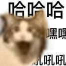 哈哈哈哈帅哥哈哈