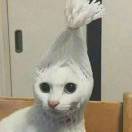 So的一声~~