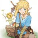 Link