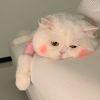 ིྀ白鸽