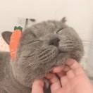 油条