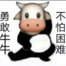 齐子轩