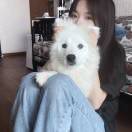 许七安.