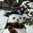 雪中蚯蚓