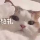 失去社交能力的肥宅