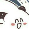 七口羊OYO