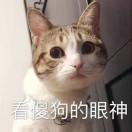 不可爱的逗逗