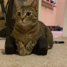 T T