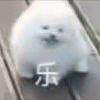 小雪啊