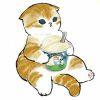 猜猜我是谁