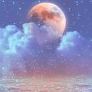 星光