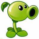 🎾 🎾 🎾 🎾