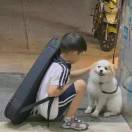 这是一只朱