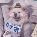 厃