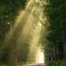 Tyndall effect