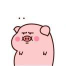 Pink pig